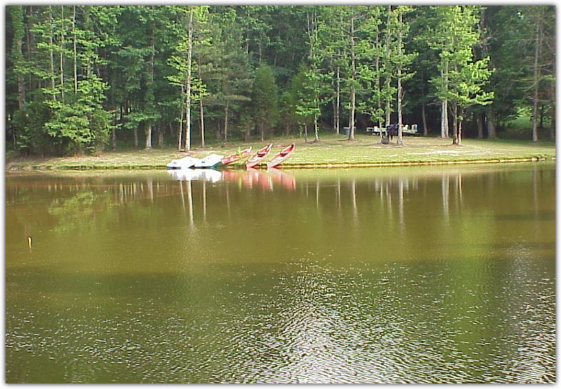 Swamp Camp Lake