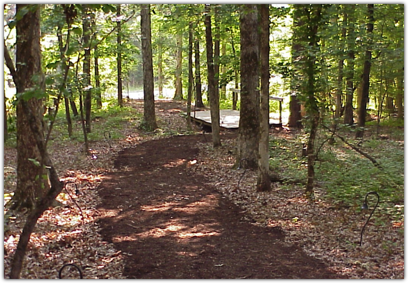 Swamp Camp Path